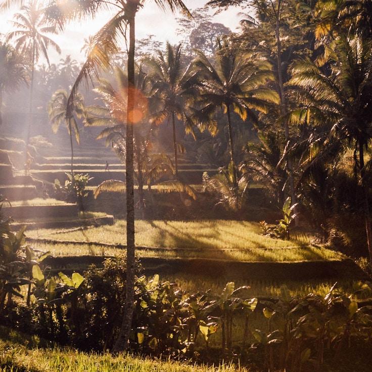 Family-friendly dining with comfortable seating